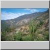 unterwegs durch Sierra Madre del Sur zwischen Mitla und Tehuantepec - Landschaft mit Kakteen (vom Bus aus)