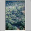 unterwegs durch Sierra Madre del Sur zwischen Mitla und Tehuantepec - Berglandschaft mit Kakteen in der Nähe einer Raststätte (in San Jose de Gracia)