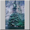 Canon de Sumidero - eine besondere Felsformation, sog. Weihnachtsbaum