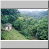 Palenque - Blick vom Kreuztempel auf den Kreuzblatttempel (links) und den umgebenden Dschungel