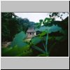 Palenque - Blick vom Kreuztempel aus auf den Sonnentempel