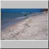 Sabancuy - Muscheln am Strand des Golfes von Mexiko
