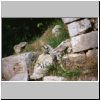 Uxmal - ein Leguan an den Ruinen des Gouverneurspalastes