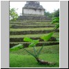 Palenque - Sonnentempel (Westseite = Hinterseite)