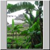Palenque - Sonnentempel (Westseite = Hinterseite)