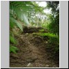 Palenque - Hügel des noch nicht ausgegrabenen Tempels XX im Dschungel