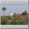 Bagan - Pagoden nördlich der alten Straße zwischen Old Bagan und Nyaung-U (weiße Pagode unweit des Ayeyarwady Flusses)