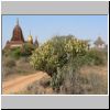 Bagan - links die Pagoden Pa-thar-da, Sin-myar-shin (mit goldener Spitze) und Yadana-man-aung, rechts der That-byin-nyu Tempel