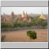 Bagan - Blick von einer namenslosen Pagode auf die Pagodenruinen in der Abendsonne
