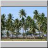 Ngwe Saung - Palmen an der Küste
