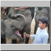 Elefantencamp in den Bergen bei Ngwe Saung - ein junger Elefant und ein Junge