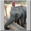 Elefantencamp in den Bergen bei Ngwe Saung - ein junger Elefant mit einem Jungen