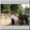 Elefantencamp in den Bergen bei Ngwe Saung - ein Elefant mit ihren Mahouts