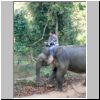 Elefantencamp in den Bergen bei Ngwe Saung - ein Elefant mit dem Mahout