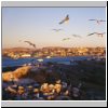 Lüderitz - Blick von der Shark Island auf die Lüderitzbucht und die Stadt
