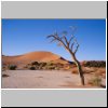 Namibwüste bei Sossusvlei - Landschaft mit ausgetrocknetem Baum