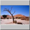 Namibwüste bei Sossusvlei - Landschaft mit ausgetrocknetem Baum
