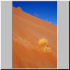 Namibwüste bei Sossusvlei - Landschaft