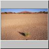 Namibwüste bei Sossusvlei - Landschaft (ausgetrockneter See)