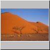 Namibwüste - Düne 45 beim Sonnenuntergang