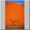 Namibwüste - Düne 45 beim Sonnenuntergang