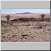 Namib Naukluft Park (unterwegs auf der C14 nach Walvis Bay) - Landschaft (während der Mittagsrast)