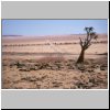 Namib Naukluft Park (unterwegs auf der C14 nach Walvis Bay) - Landschaft (während der Mittagsrast)