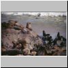 Cape Cross (Kreuzkap) - Kolonie der Pelzrobben