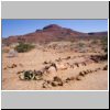 `versteinerter Wald` im Damaraland - Landschaft mit versteinerten Baumstämmen und Welwitschia-Pflanzen