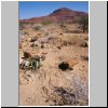 `versteinerter Wald` im Damaraland - Landschaft mit Versteinerungen und Welwitschia-Pflanzen