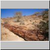 `versteinerter Wald` im Damaraland - ein versteinerter Baumstamm