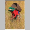 Wanderung nordwestlich von Pokhara - eine Frau bei der Hirseernte
