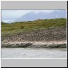 Feuerland - Kormorane auf einer Insel im Beagle-Kanal, dahinter die Gebirgszüge des Feuerlandes