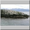 Feuerland - Seelöwen auf einer Insel im Beagle-Kanal, dahinter die Stadt Ushuaia