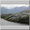 Feuerland - Kormorane auf einer Insel im Beagle-Kanal, dahinter die Gebirgszüge des Feuerlandes und die Stadt Ushuaia