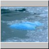 Lago Argentino - Eisbrocken am Perito Moreno Gletscher