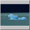 Lago Argentino - Schiffsausflug zum Upsala-Gletscher, Eisberge