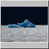 Lago Argentino - Schiffsausflug zum Upsala-Gletscher, Eisberge