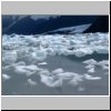 Lago Onelli - Eisbrocken im See, hinten der Onelli-Gletscher