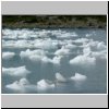 Lago Onelli - Eisbrocken im See