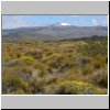 patagonische Landschaft in der Gegend von Valle Pinturas