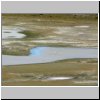 Patagonien - ein Salzsee mit Flamingos an der Route Nr. 55 ca. 15 km vor dem Ort Lago Blanco