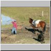 Feuerland - unterwegs nach Norden, ein Gaucho mit seinem Pferd