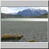 Torres del Paine NP - Laguna Amarga und Blick auf die Torres