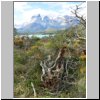 Torres del Paine NP - Blick vom Campingplatz am Ufer des Lago Pehoé auf die Cuernos-Gipfel