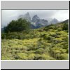 Torres del Paine NP - Wanderung von Salto Grando Wasserfall entlang des Ufers des Lago Nordenskjöld Richtung Cuernos-Gipfel