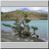 Torres del Paine NP - Wanderung von Salto Grando Wasserfall entlang des Ufers des Lago Nordenskjöld Richtung Cuernos-Gipfel