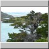 Torres del Paine NP - Wanderung von Salto Grando Wasserfall entlang des Ufers des Lago Nordenskjöld Richtung Cuernos-Gipfel