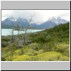 Torres del Paine - Wanderung vom Campingplatz Pehoé zum Aussichtspunkt Mirador Condor, Blick auf den Lago Pehoé