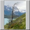 Torres del Paine - Wanderung vom Campingplatz Pehoé zum Aussichtspunkt Mirador Condor, Blick auf die Cuernos und den Lago Pehoé